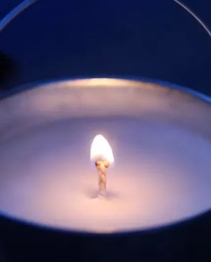 CITRONELLA BUG REPELLANT CANDL